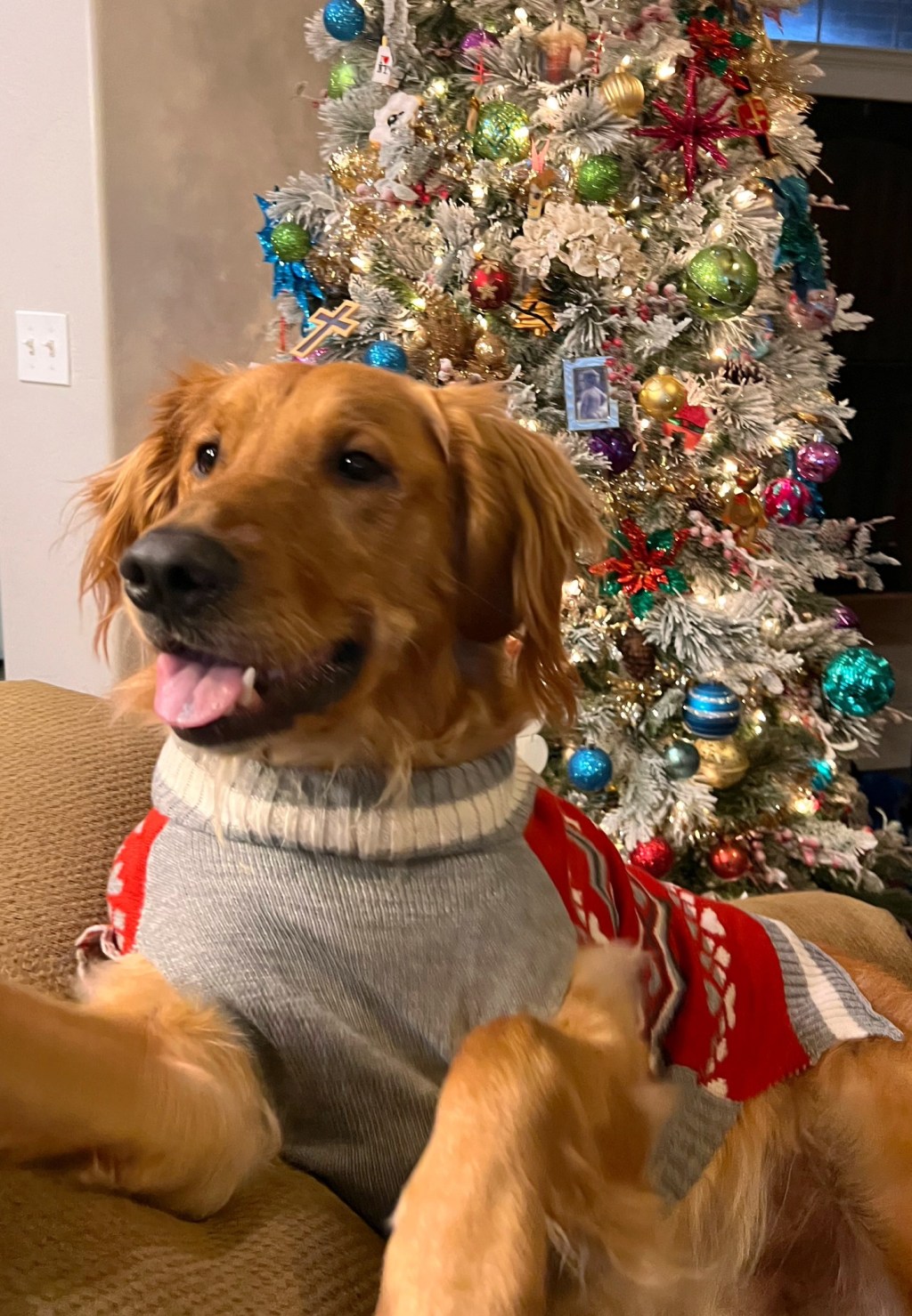 Golden Retrievers and the&nbsp;Holidays